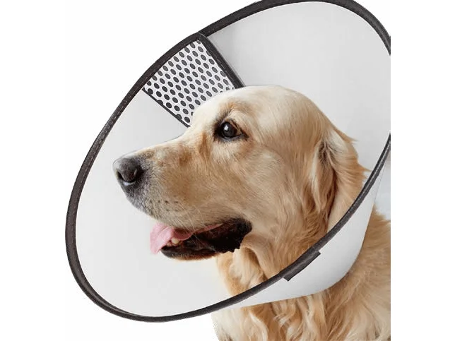 PAWISE Pet E-collar