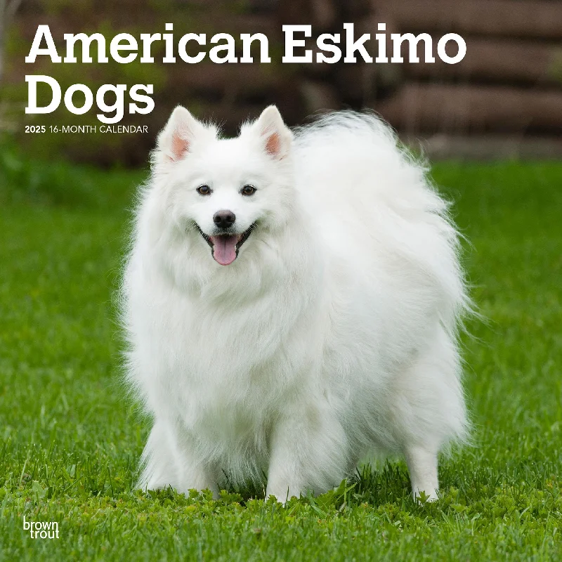 American Eskimo Dogs Wall 2025 Calendar