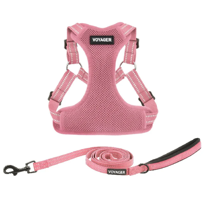 Step-In Flex Harness & Leash Set with Air Mesh