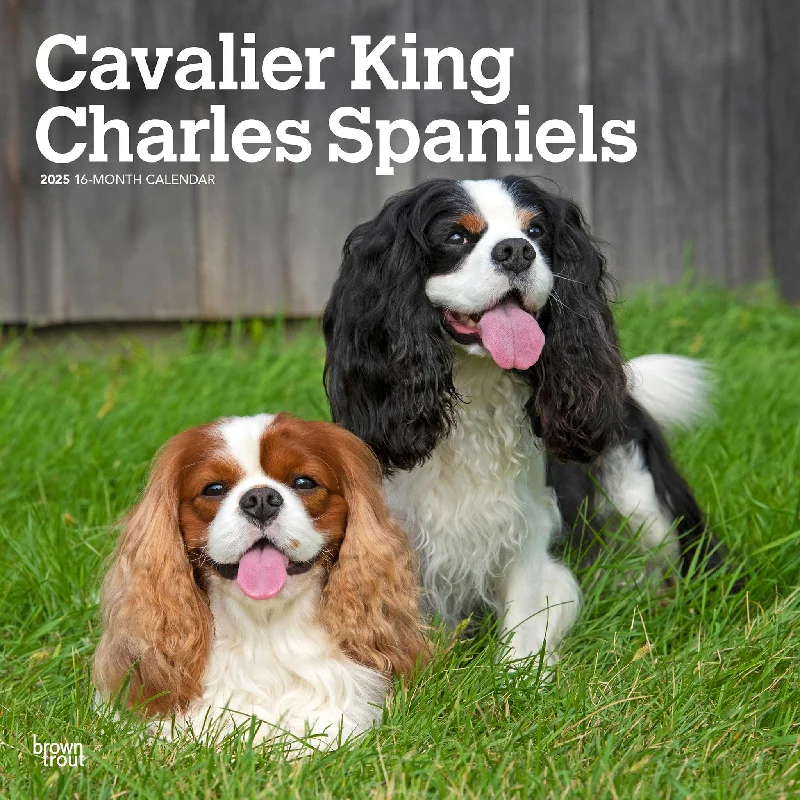 Cavalier King Charles Spaniels Wall 2025 Calendar