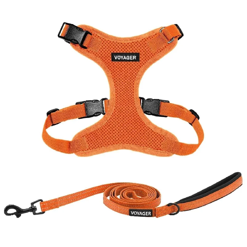 Halloween Step-In Lock Harness & Leash Set