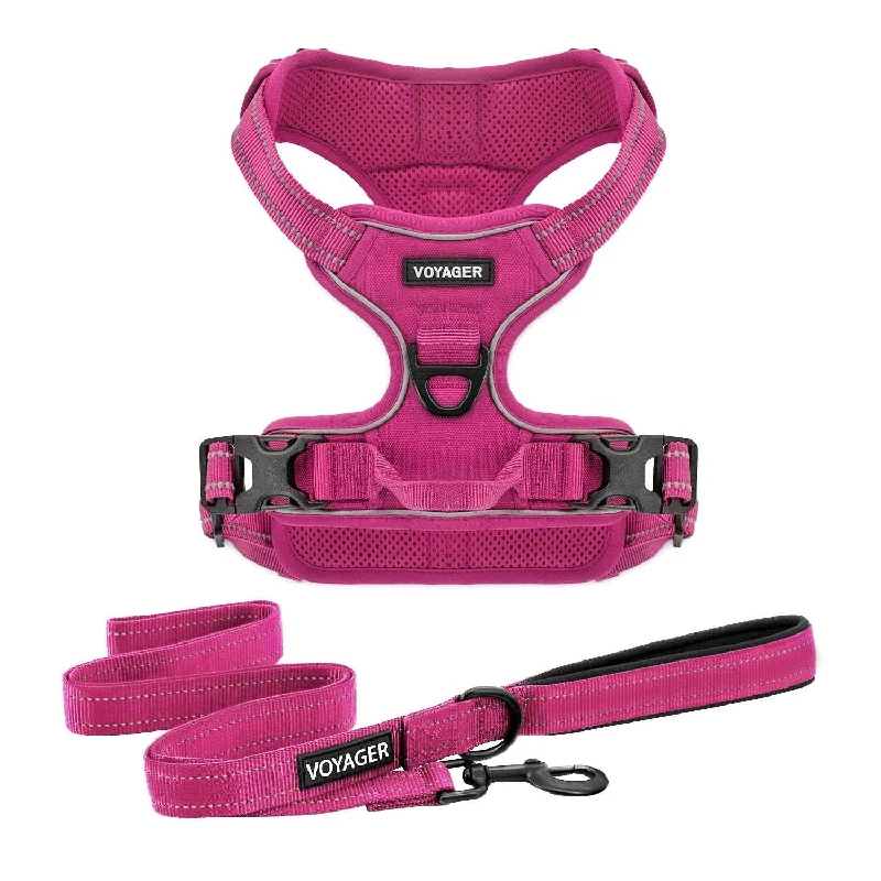 Dual-Attachment Dog Harness &  Leash Set