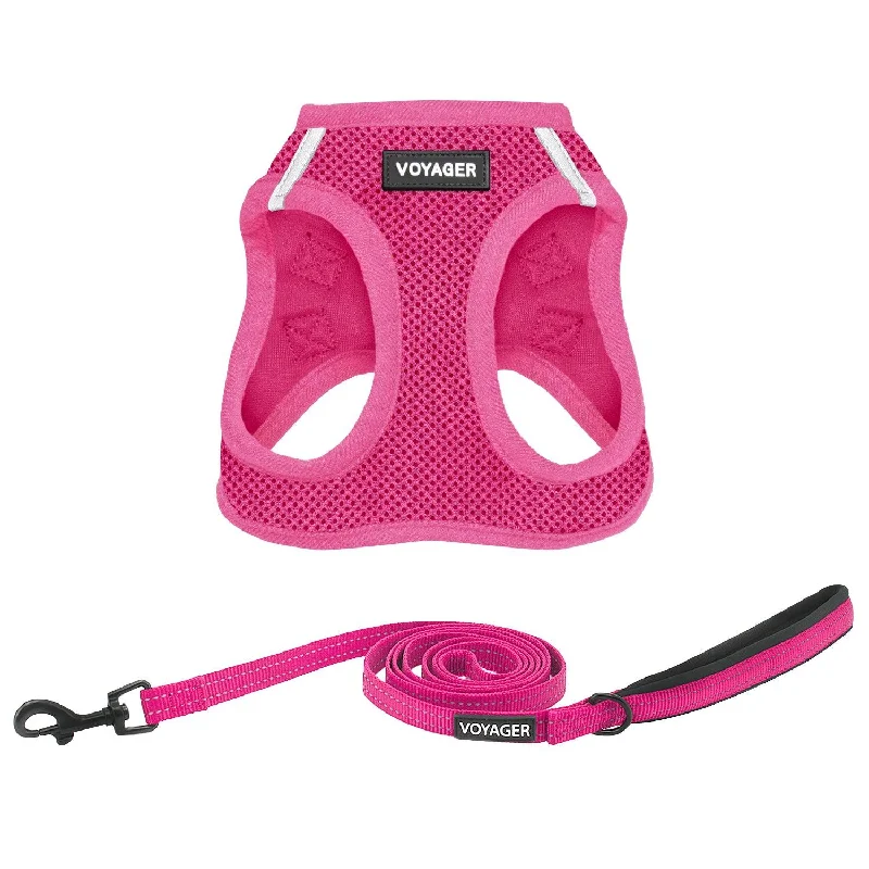 Valentine Step-in Air Harness & Leash Set