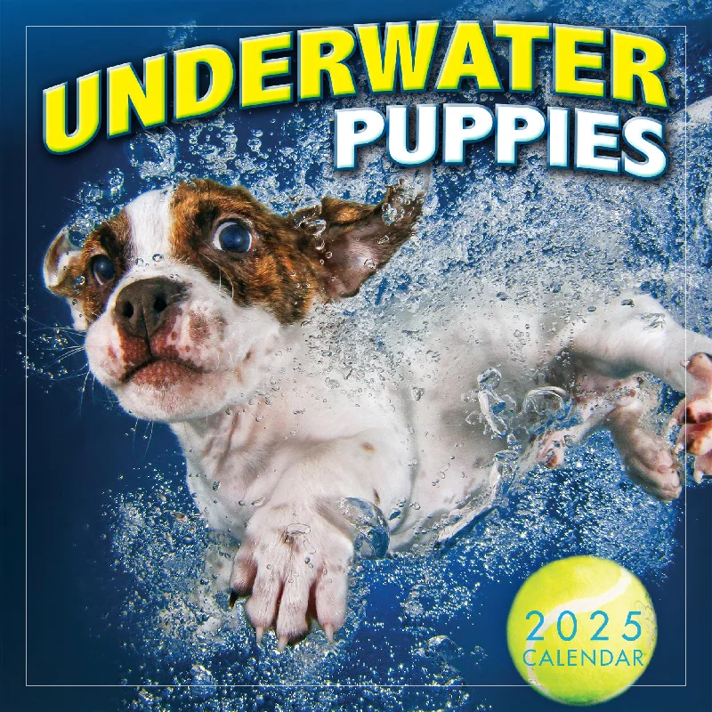 Underwater Puppies Mini 2025 Calendar