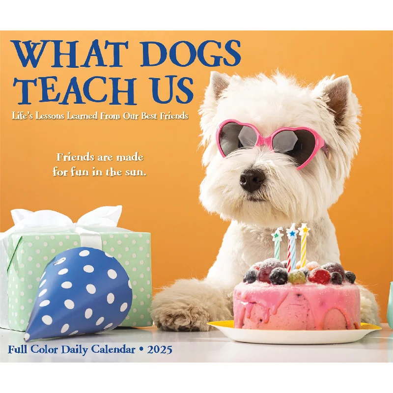 What Dogs Teach Us Box 2025 Calendar