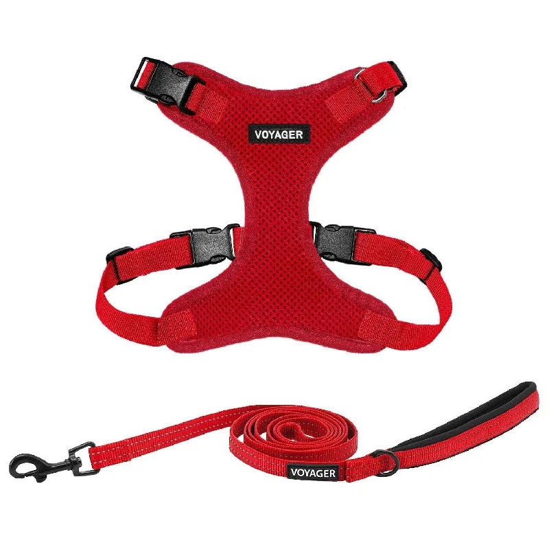 Valentine Step-In Lock Harness & Leash Set