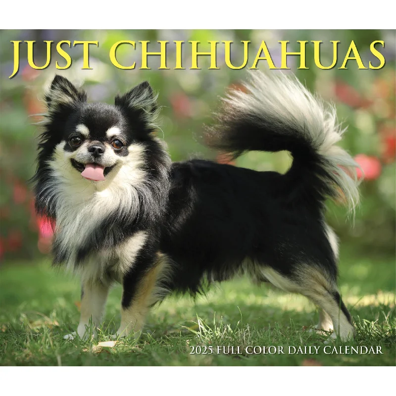 Just Chihuahuas Box 2025 Calendar - Online Exclusive