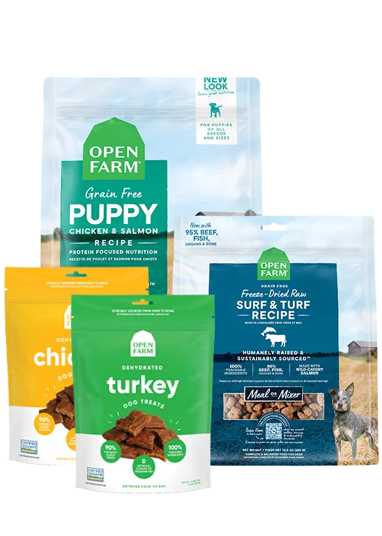 Puppy Essentials Pack