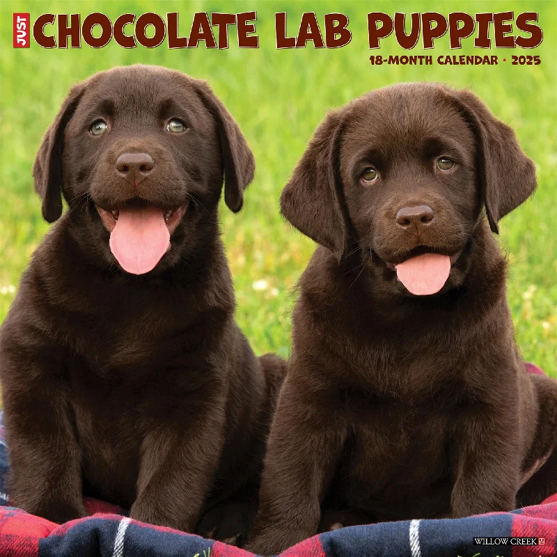 Just Chocolate Lab Puppies Wall 2025 Calendar - Online Exclusive