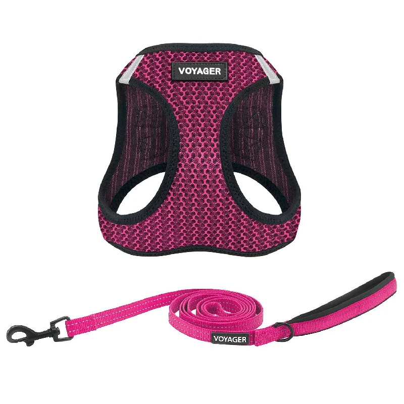 Valentine Step-in Air Harness & Leash Set