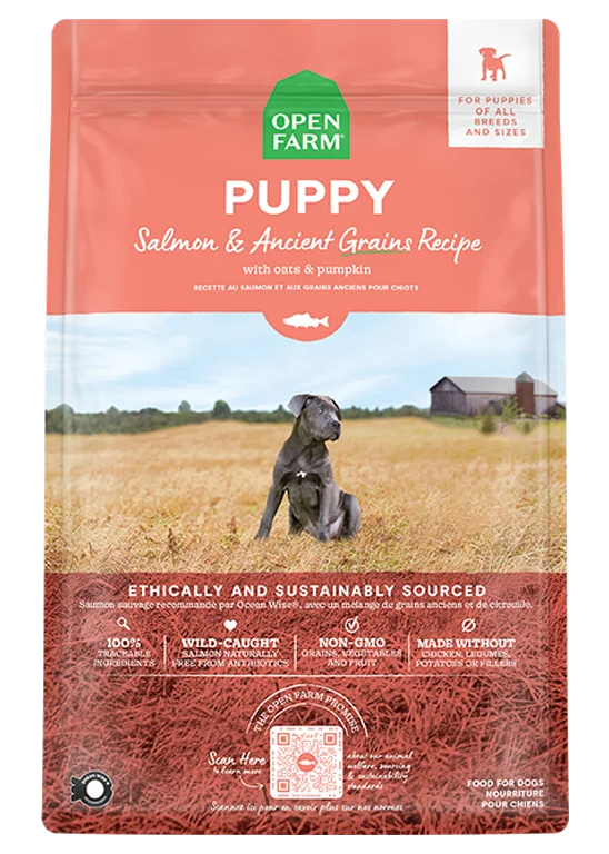 Salmon & Ancient Grains Puppy Food