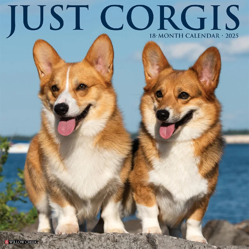 Just Corgis Wall 2025 Calendar