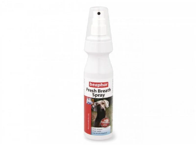 Fresh Breath Spray 150ml