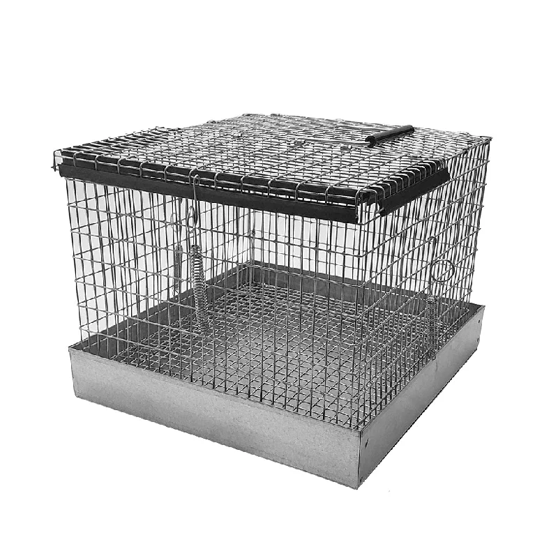 Better Bird Carry Cage