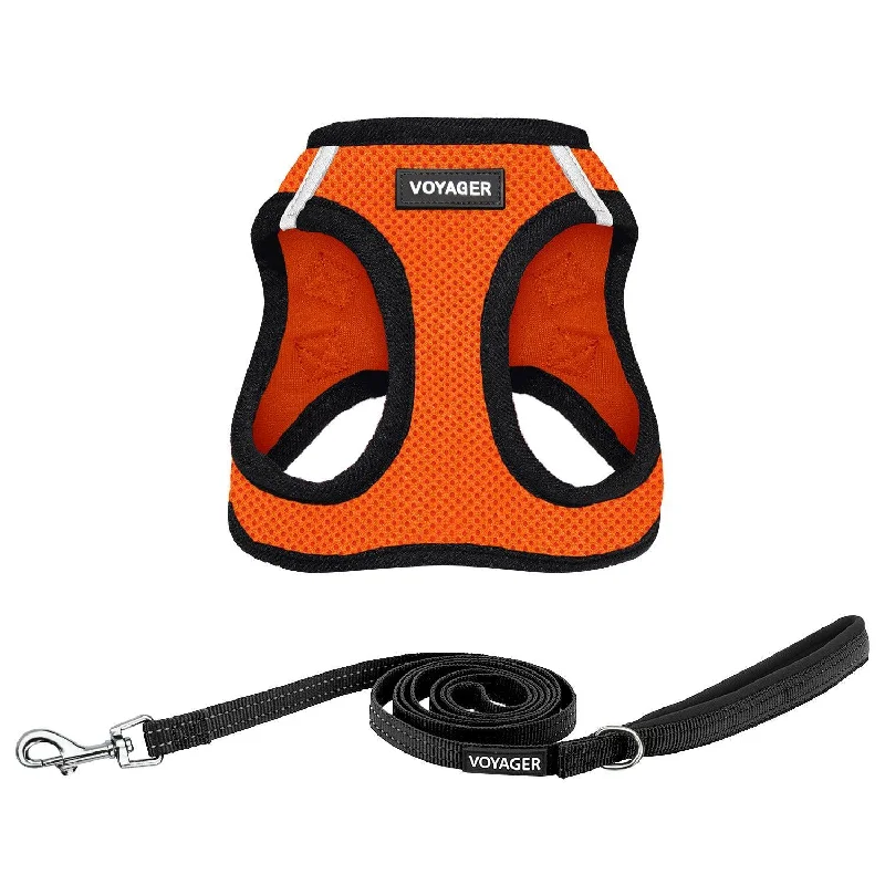 Halloween Step-in Air Harness & Leash Set