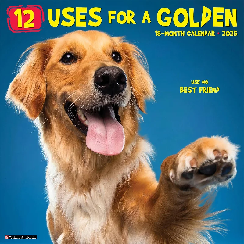 12 Uses for a Golden Wall 2025 Calendar - Online Exclusive