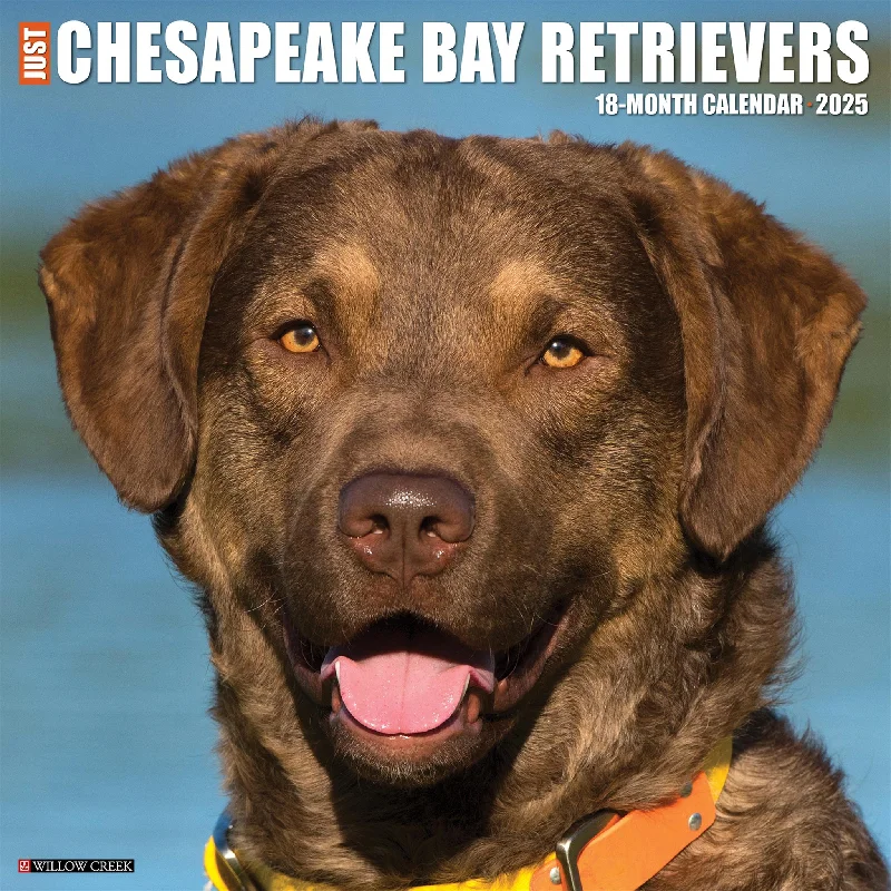 Just Chesapeake Bay Retrievers Wall 2025 Calendar