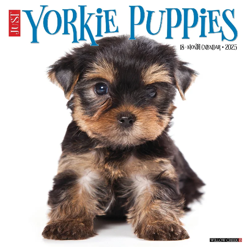 Just Yorkie Puppies Wall 2025 Calendar