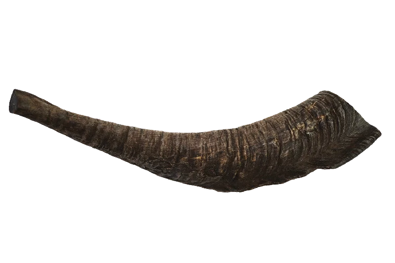 Goat Horn (Large)