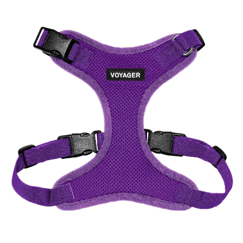 Halloween Step-In Lock Pet Harness