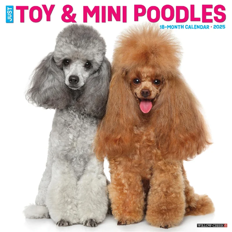 Toy And Miniature Poodles Wall 2025 Calendar - Online Exclusive