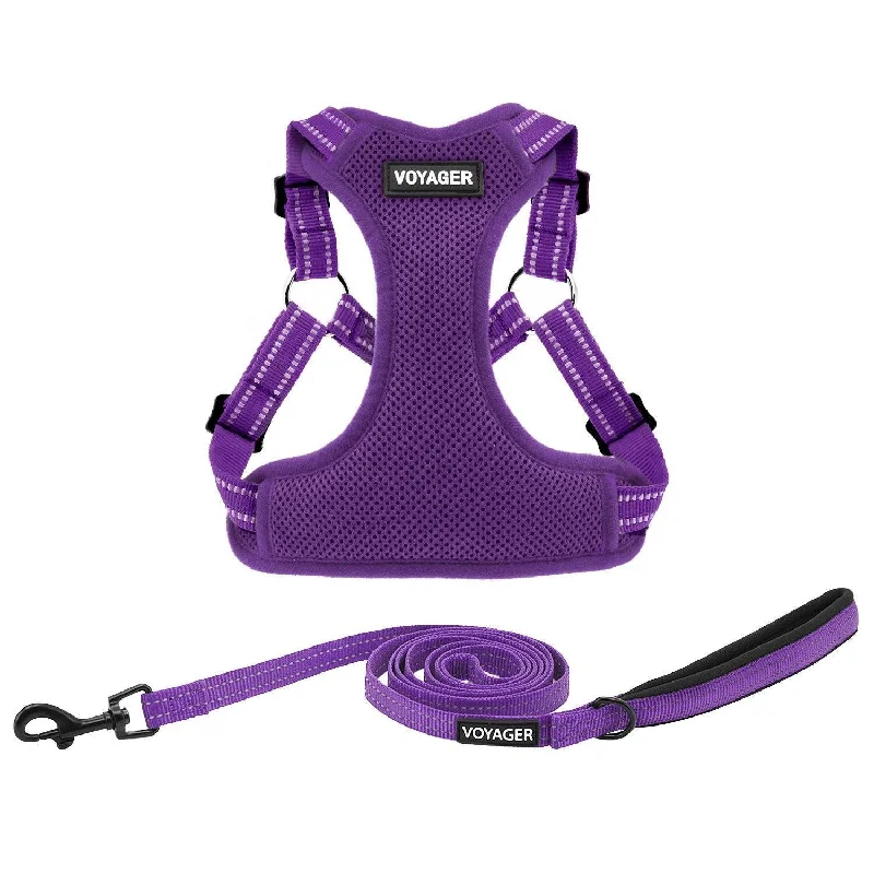 Halloween Step-In Flex Harness & Leash Set