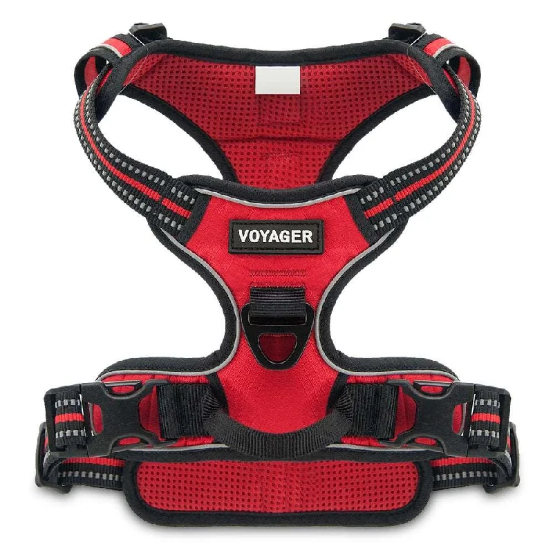 Valentine Dual-Attachment Dog Harness