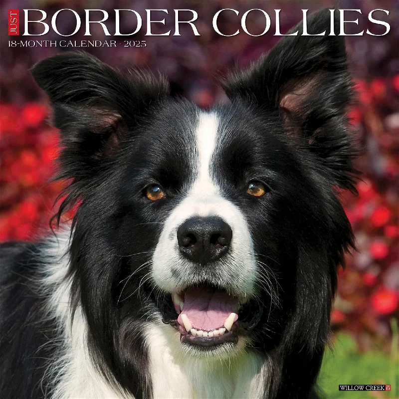 Just Border Collies Wall 2025 Calendar