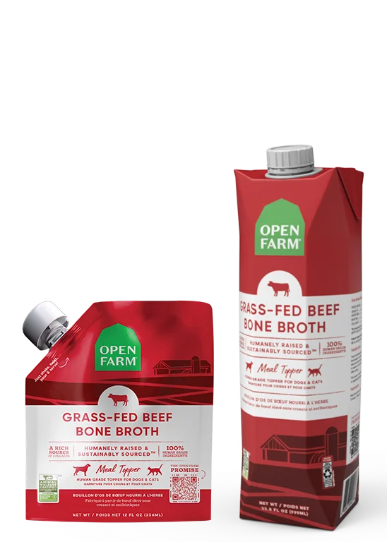 Grass-Fed Beef Bone Broth For Cats