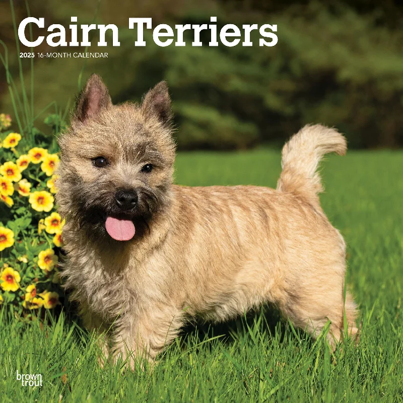 Cairn Terriers Wall 2025 Calendar