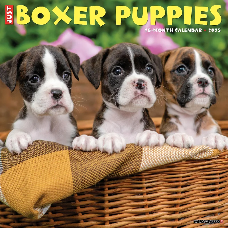 Just Boxer Puppies Wall 2025 Calendar