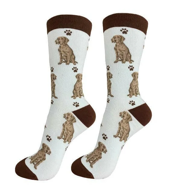 Weimaraner Socks-Full Body