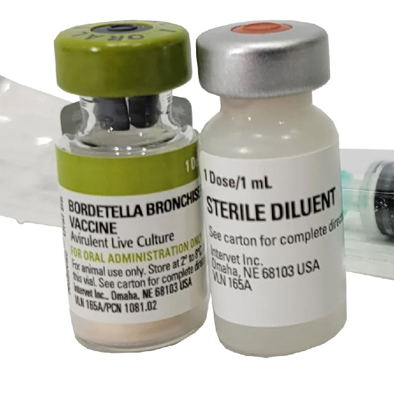 Oral Bordetella Canine Vaccine