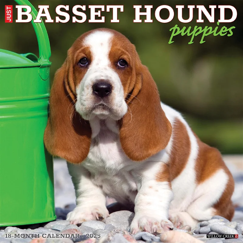 Just Basset Hound Puppies Wall 2025 Calendar