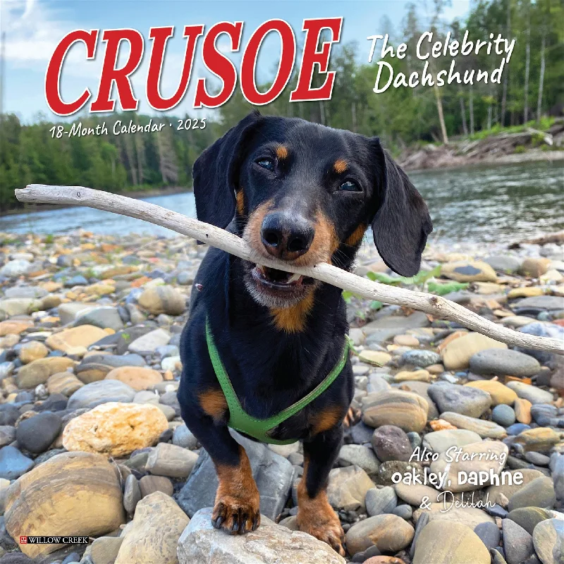 Crusoe Dachshund Mini 2025 Calendar