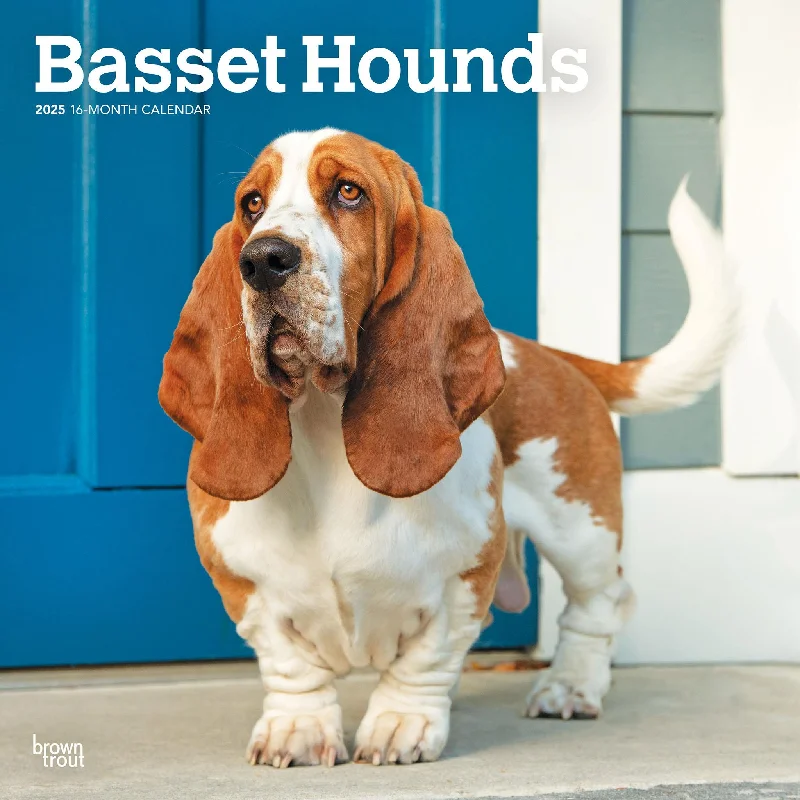 Basset Hounds Wall 2025 Calendar