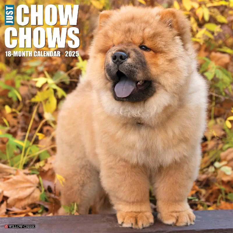 Just Chow Chows Wall 2025 Calendar