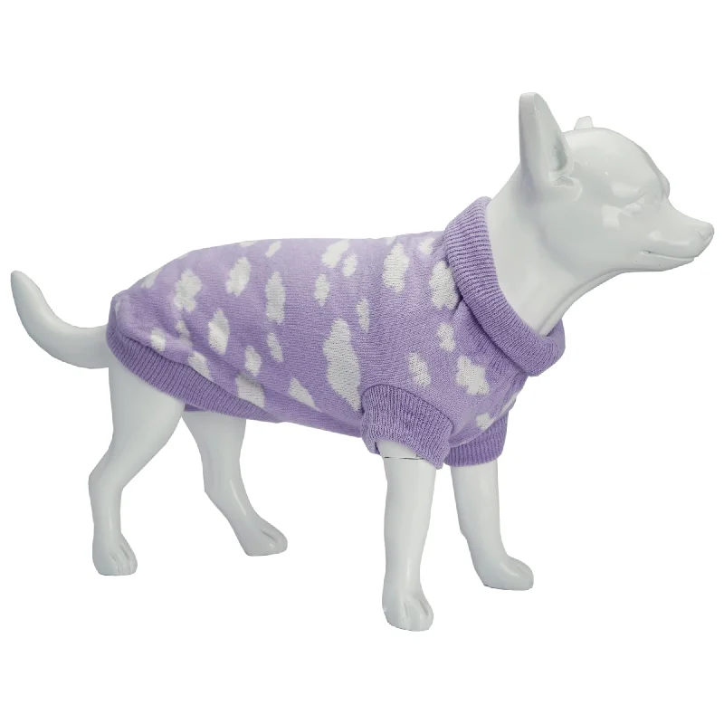 Dan & Sam - Dog Jumper (Dreamer) - 50cm