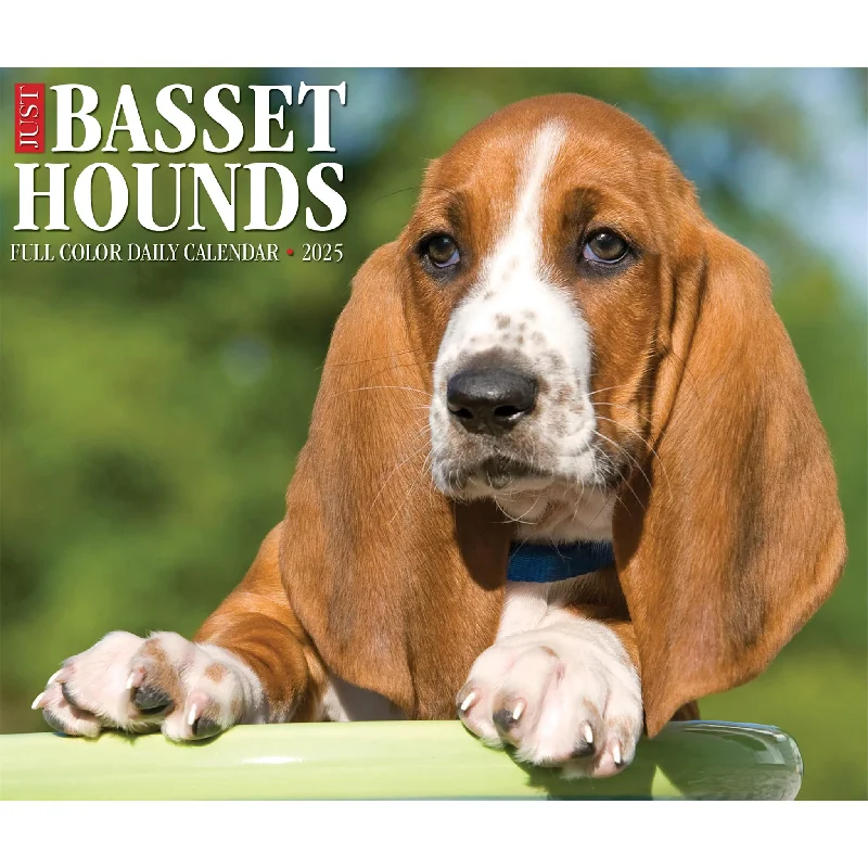 Just Basset Hounds Box 2025 Calendar - Online Exclusive