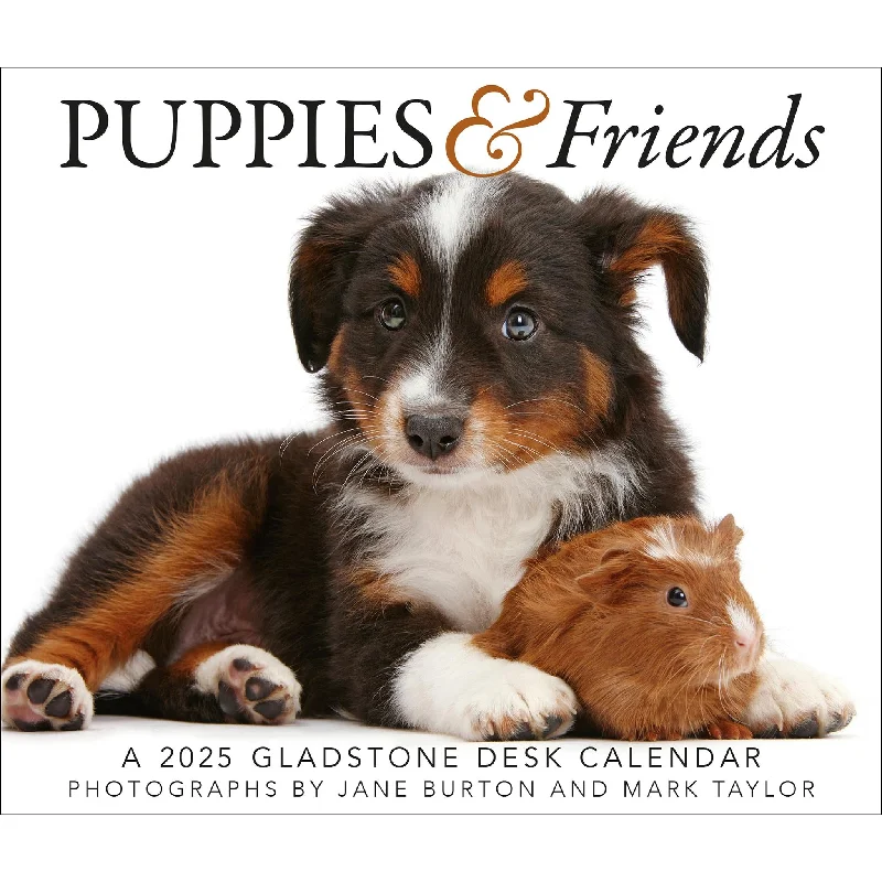 Puppies And Friends Box 2025