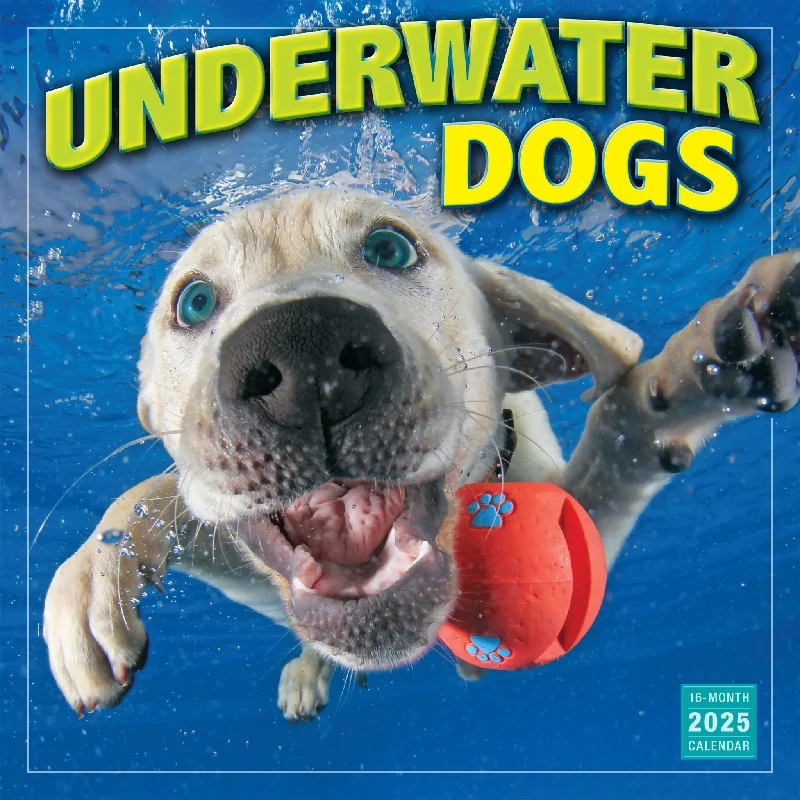 Underwater Dogs Wall 2025 Calendar