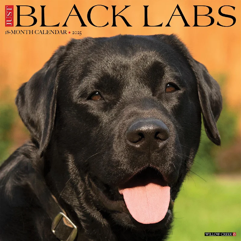 Just Black Labs Wall 2025 Calendar - Online Exclusive