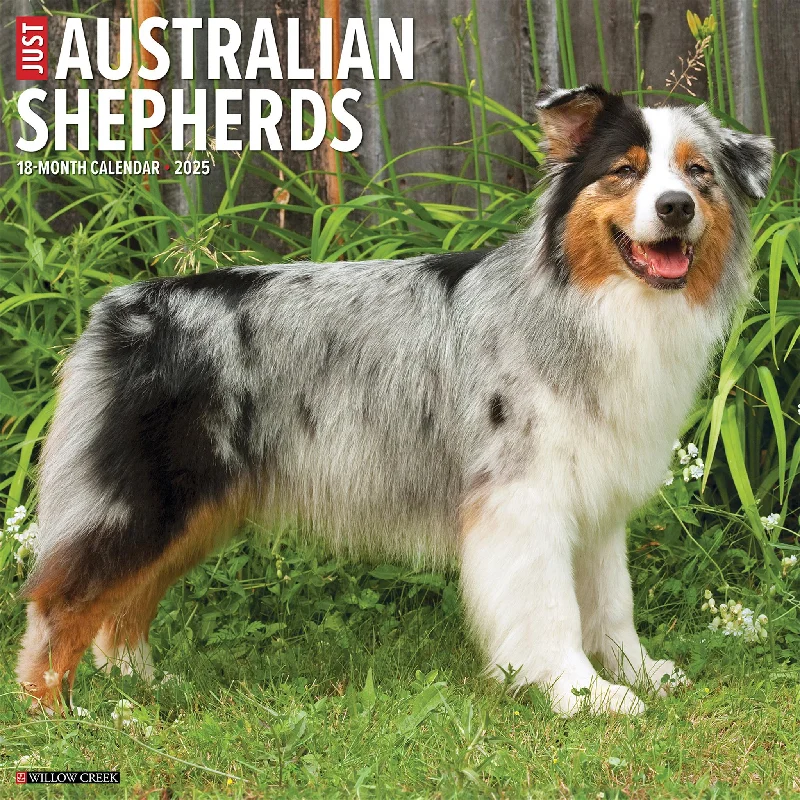 Just Australian Shepherds Wall 2025 Calendar