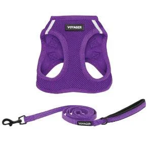 Halloween Step-in Air Harness & Leash Set