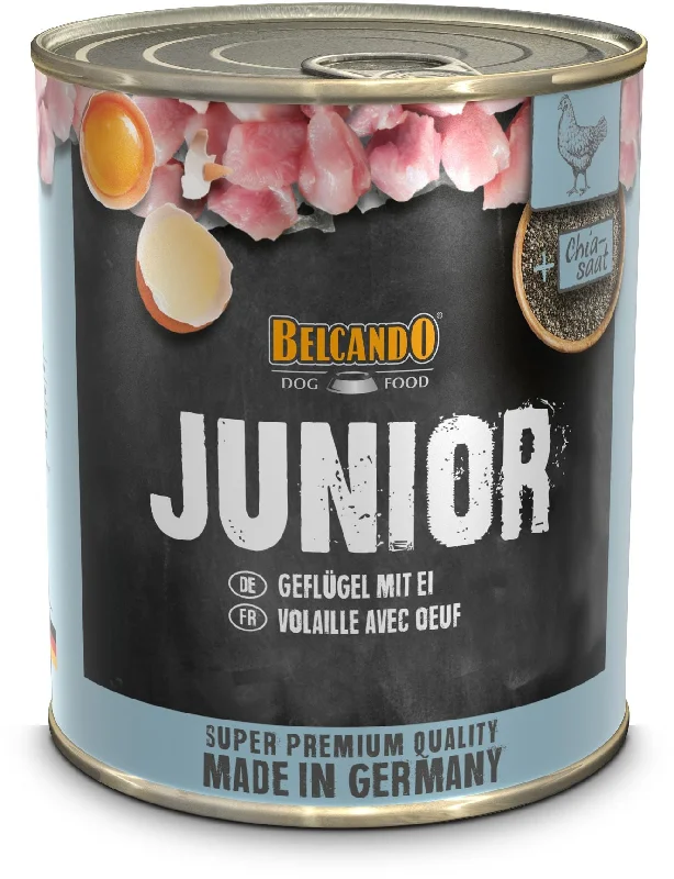 BELCANDO JUNIOR Perad s jajima