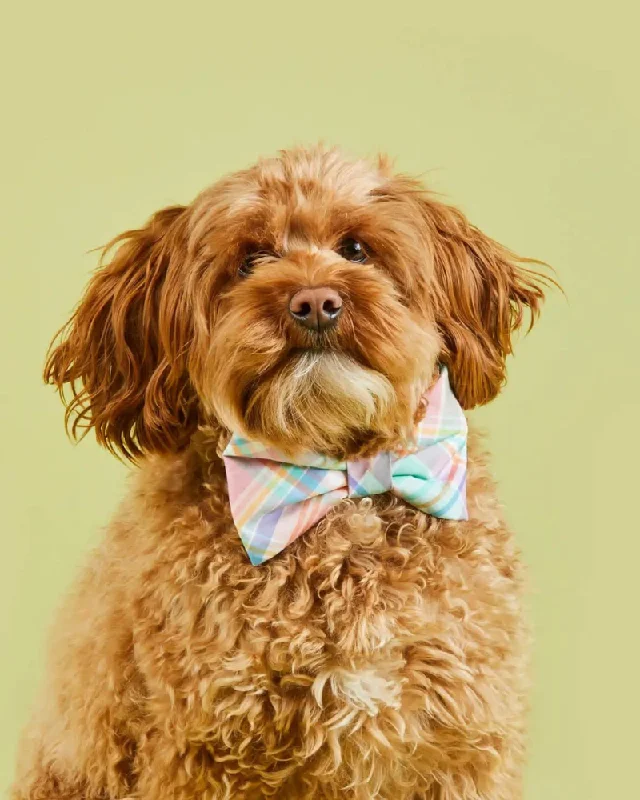 Blooming Plaid Dog Bow Tie (FINAL SALE)