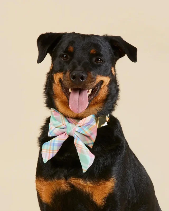 Blooming Plaid Lady Dog Bow (FINAL SALE)