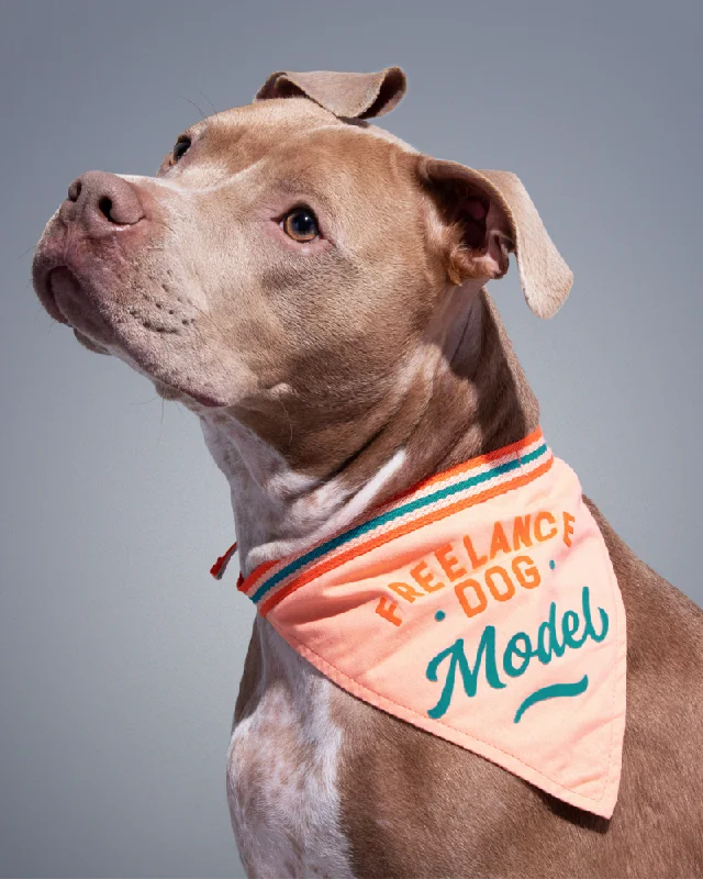 Freelance Dog Model Bandana (FINAL SALE)