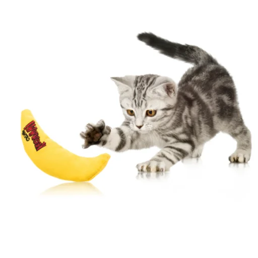 FOR PET BANANA WITH CATNIP