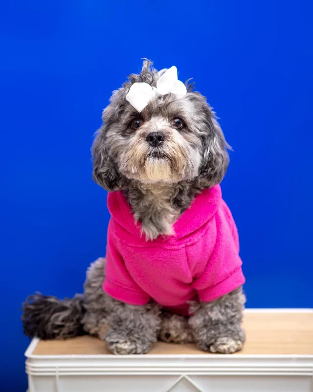 Plush Dog Hoodie in Fuschia (Made in the USA) (FINAL SALE)